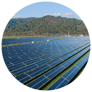 Paneles solares para parques solares